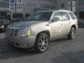 Quicksilver - Escalade AWD Photo No. 2