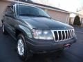 Onyx Green Pearlcoat - Grand Cherokee Laredo 4x4 Photo No. 7