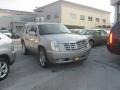 Quicksilver - Escalade AWD Photo No. 63
