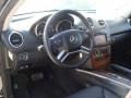 Black - ML 350 4Matic Photo No. 15