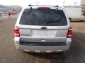 2010 Ingot Silver Metallic Ford Escape XLT 4WD  photo #3