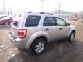 2010 Ingot Silver Metallic Ford Escape XLT 4WD  photo #4