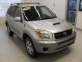 Titanium Metallic - RAV4  Photo No. 5