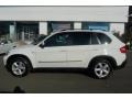 Alpine White - X5 3.0si Photo No. 4