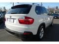 Alpine White - X5 3.0si Photo No. 10
