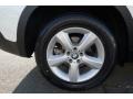 Alpine White - X5 3.0si Photo No. 11