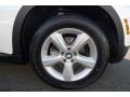 Alpine White - X5 3.0si Photo No. 13
