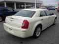 Cool Vanilla White - 300 Touring Photo No. 4