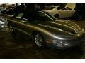 Pewter Metallic - Firebird Convertible Photo No. 3
