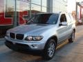 Titanium Silver Metallic - X5 3.0i Photo No. 2
