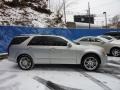 Light Platinum - SRX 4 V6 AWD Photo No. 2