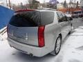 Light Platinum - SRX 4 V6 AWD Photo No. 3