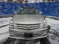 Light Platinum - SRX 4 V6 AWD Photo No. 7