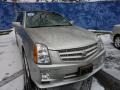 Light Platinum - SRX 4 V6 AWD Photo No. 8