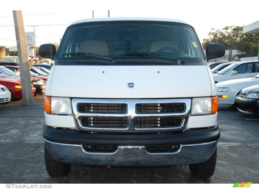 2003 Ram Van 1500 Passenger Conversion - Bright White / Sandstone photo #12