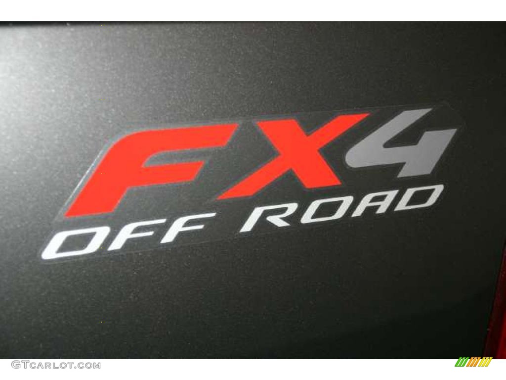 2004 F150 FX4 SuperCrew 4x4 - Dark Shadow Grey Metallic / Black/Medium Flint photo #15