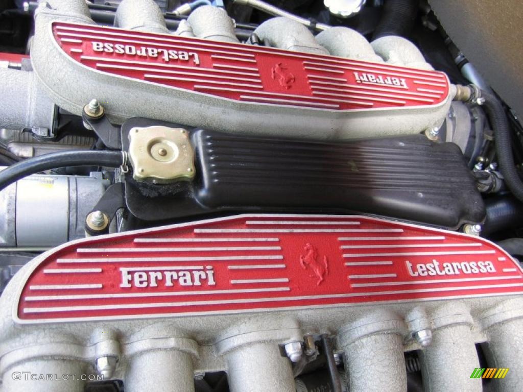 1992 Ferrari 512 TR Standard 512 TR Model 4.9 Liter DOHC 48-Valve Flat 12 Cylinder Engine Photo #41852734