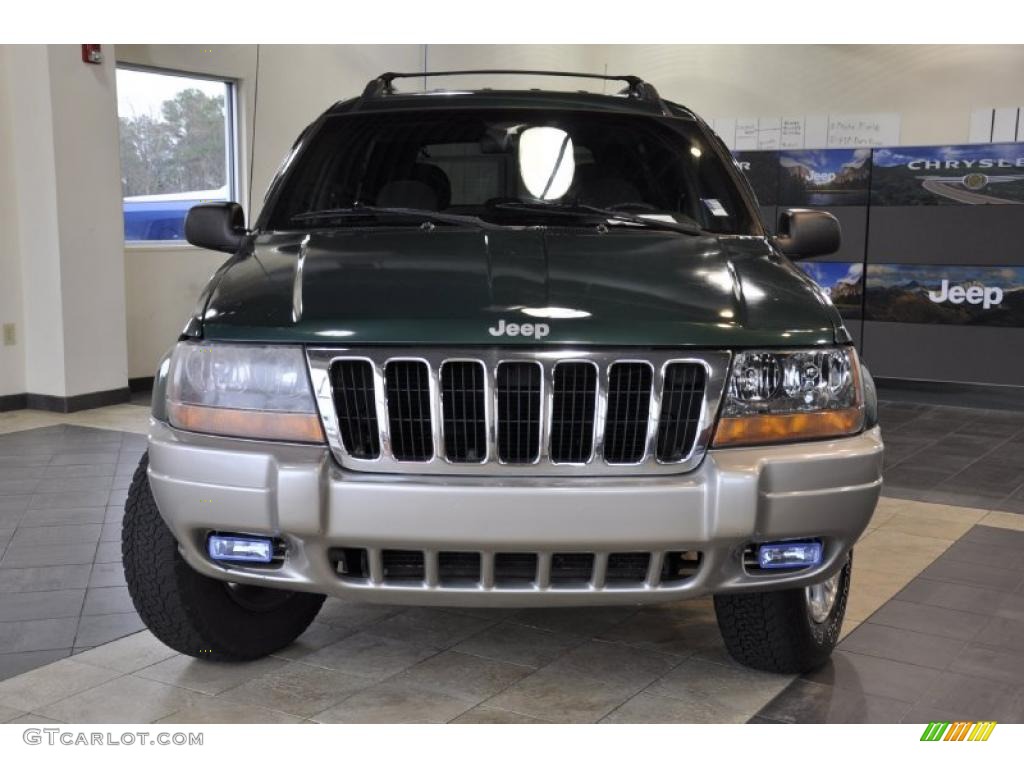 1999 Grand Cherokee Laredo 4x4 - Everglade Green Pearl / Agate photo #3