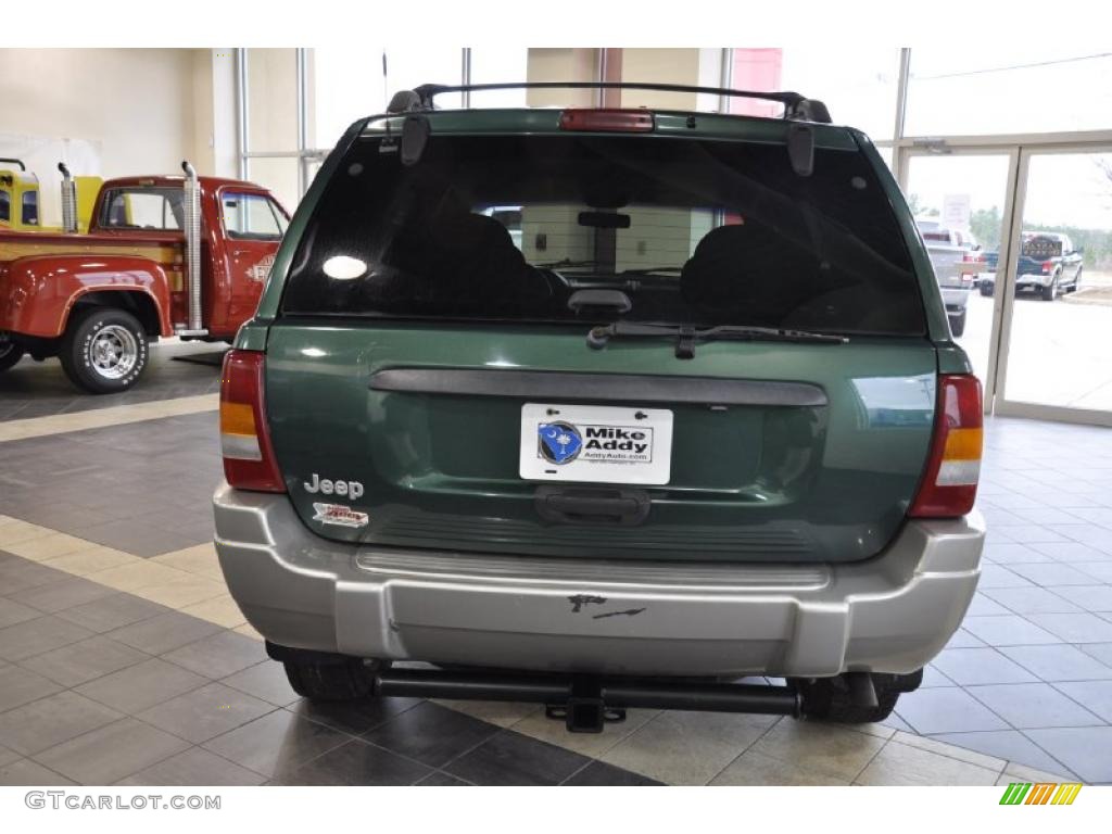 1999 Grand Cherokee Laredo 4x4 - Everglade Green Pearl / Agate photo #7