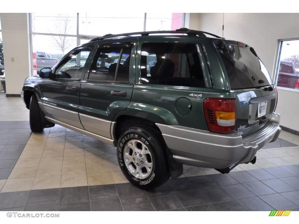 1999 Grand Cherokee Laredo 4x4 - Everglade Green Pearl / Agate photo #8