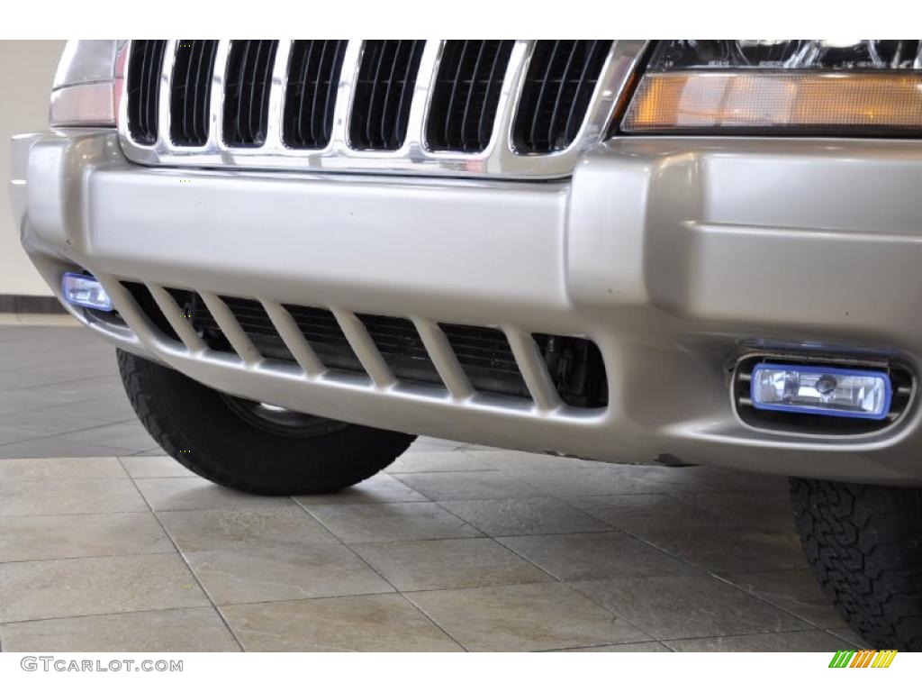 1999 Grand Cherokee Laredo 4x4 - Everglade Green Pearl / Agate photo #11