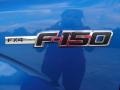 2010 Blue Flame Metallic Ford F150 FX4 SuperCrew 4x4  photo #12