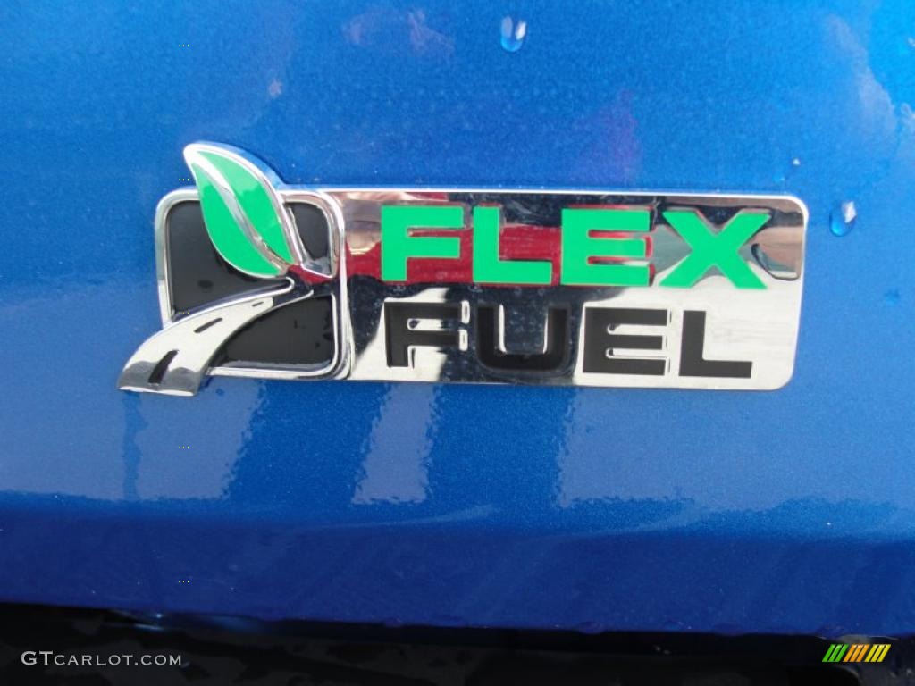 2010 F150 FX4 SuperCrew 4x4 - Blue Flame Metallic / Black photo #18