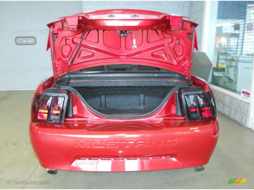 2001 Mustang V6 Convertible - Laser Red Metallic / Dark Charcoal photo #14