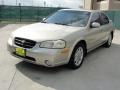 Sunlit Sand Metallic - Maxima GLE Photo No. 7