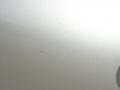 Sunlit Sand Metallic - Maxima GLE Photo No. 23