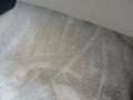 Sunlit Sand Metallic - Maxima GLE Photo No. 42
