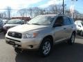 2007 Savannah Metallic Toyota RAV4 V6 4WD  photo #3