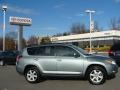 2008 Everglade Metallic Toyota RAV4 Limited V6 4WD  photo #1