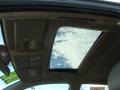 Everglade Metallic - RAV4 Limited V6 4WD Photo No. 8