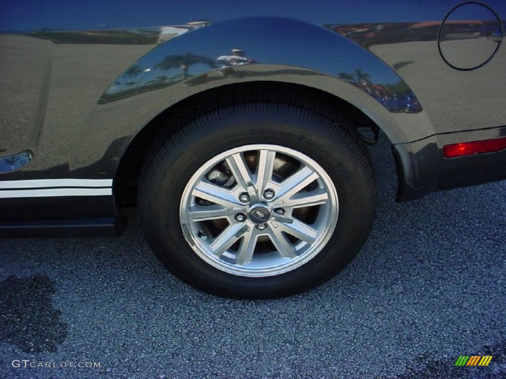 2009 Mustang V6 Premium Coupe - Alloy Metallic / Dark Charcoal photo #10