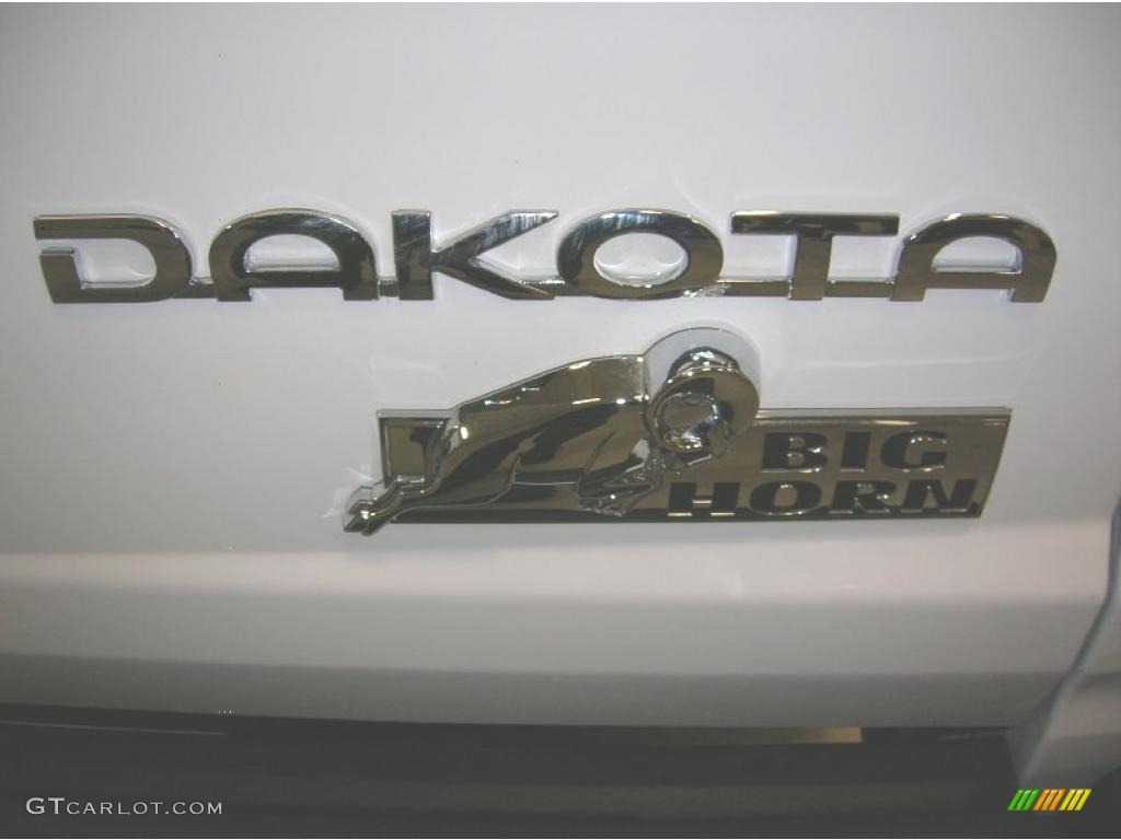 2010 Dakota Big Horn Crew Cab 4x4 - Stone White / Dark Slate Gray/Medium Slate Gray photo #8