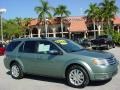 Titanium Green Metallic 2008 Ford Taurus X Limited