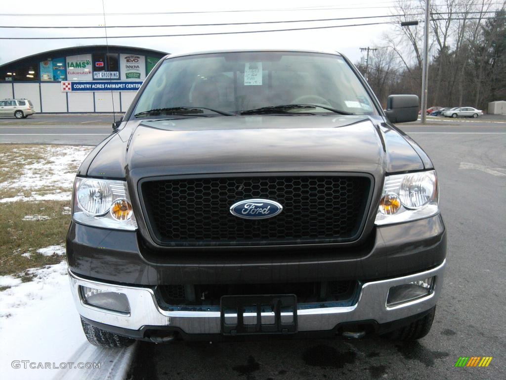2005 F150 XLT SuperCrew 4x4 - Dark Stone Metallic / Tan photo #2