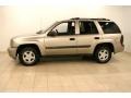 Light Pewter Metallic - TrailBlazer LS 4x4 Photo No. 4