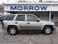Light Pewter Metallic - TrailBlazer LS 4x4 Photo No. 1