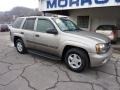 Light Pewter Metallic - TrailBlazer LS 4x4 Photo No. 2
