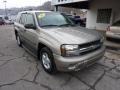 Light Pewter Metallic - TrailBlazer LS 4x4 Photo No. 3