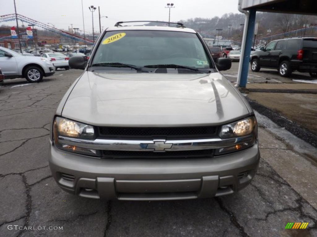 2003 TrailBlazer LS 4x4 - Light Pewter Metallic / Medium Pewter photo #4