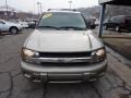 Light Pewter Metallic - TrailBlazer LS 4x4 Photo No. 4