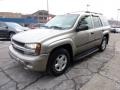 Light Pewter Metallic - TrailBlazer LS 4x4 Photo No. 5
