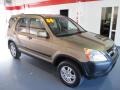 Mojave Mist Metallic - CR-V EX 4WD Photo No. 5