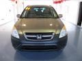 Mojave Mist Metallic - CR-V EX 4WD Photo No. 6