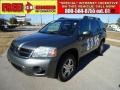 2006 Titanium Gray Pearl Mitsubishi Endeavor LS  photo #1