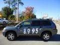 2006 Titanium Gray Pearl Mitsubishi Endeavor LS  photo #2