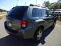 2006 Titanium Gray Pearl Mitsubishi Endeavor LS  photo #12